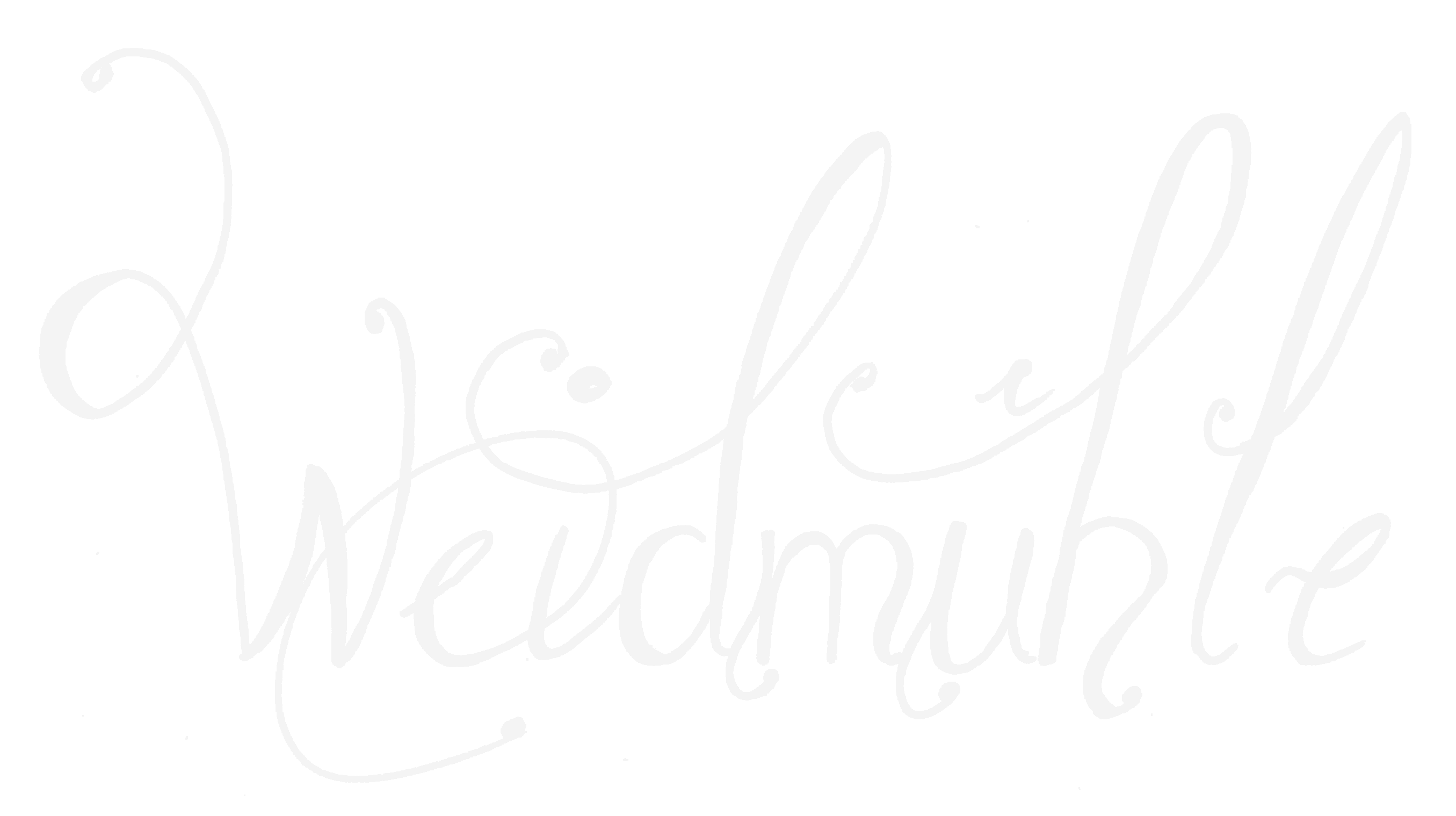 weidmuehle.com: Unsere Homepage geht online